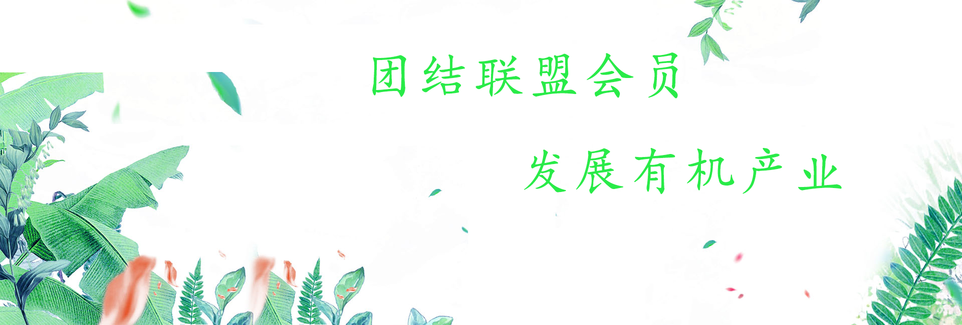 團結聯盟會員，發(fā)展有機產業